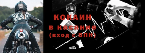 прущие грибы Абинск