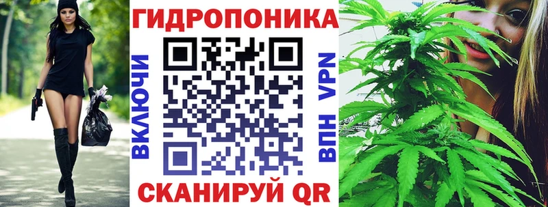 Бошки Шишки THC 21% Дрезна