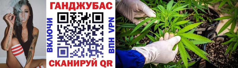 Канабис сатива Дрезна